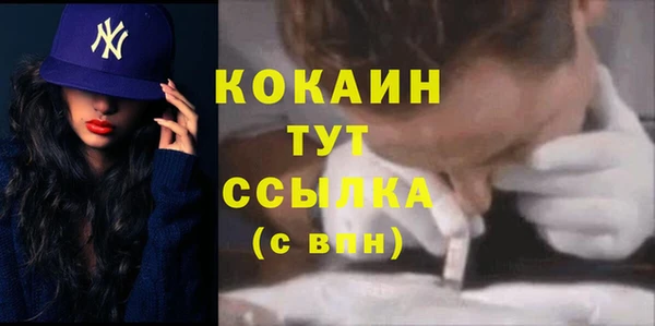 твердый Корсаков