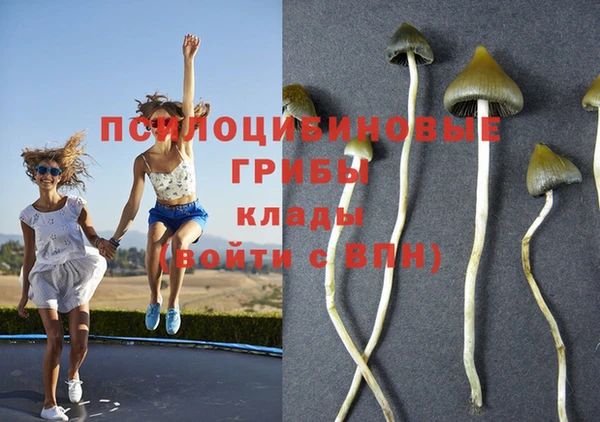 mix Коряжма