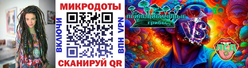 Купить закладки  Кириллов  Псилоцибиновые грибы мухоморы 